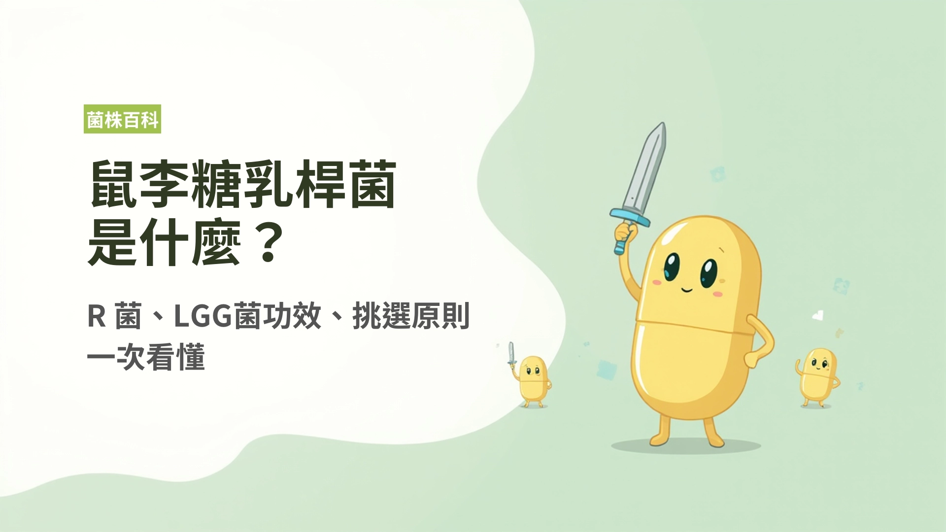 鼠李糖乳桿菌是什麼？R 菌、LGG菌功效、挑選原則一次看懂 