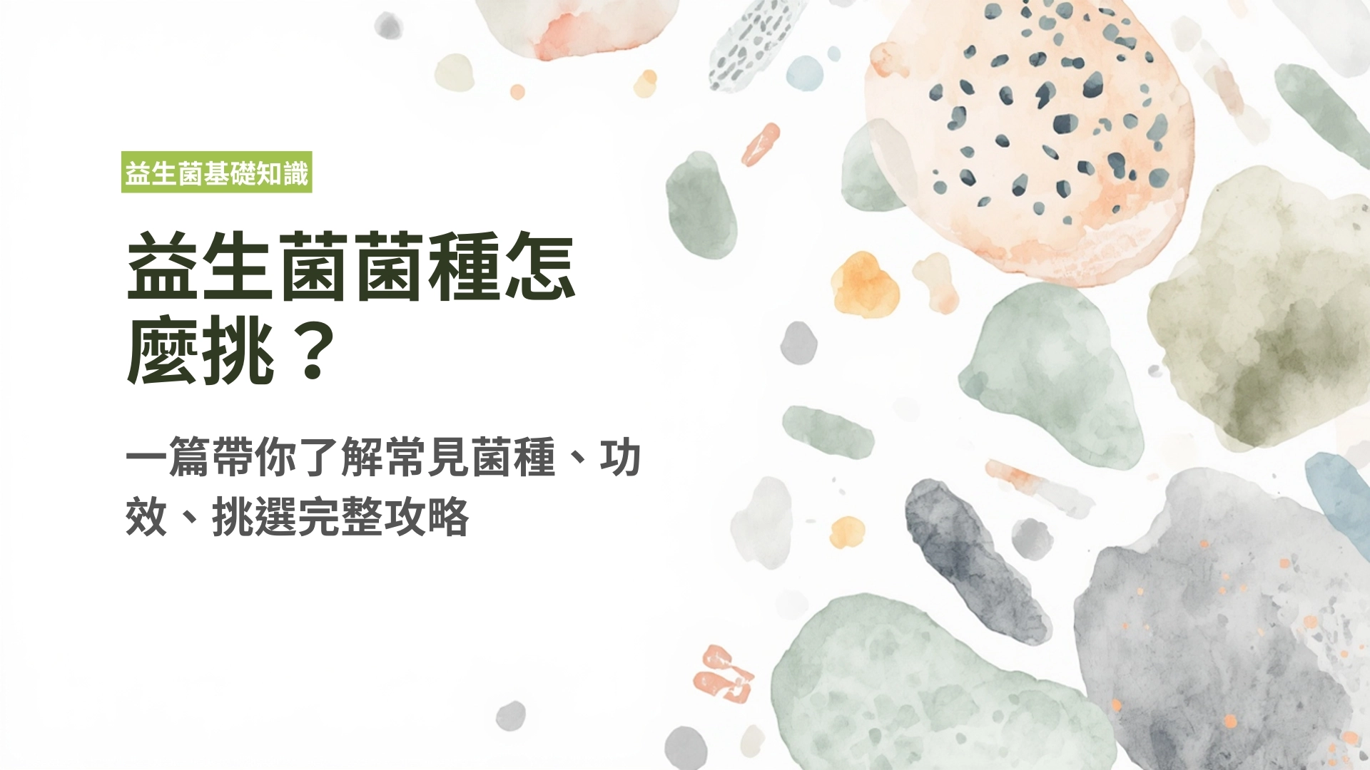 益生菌菌種怎麼挑？一篇帶你了解常見菌種、功效、挑選完整攻略