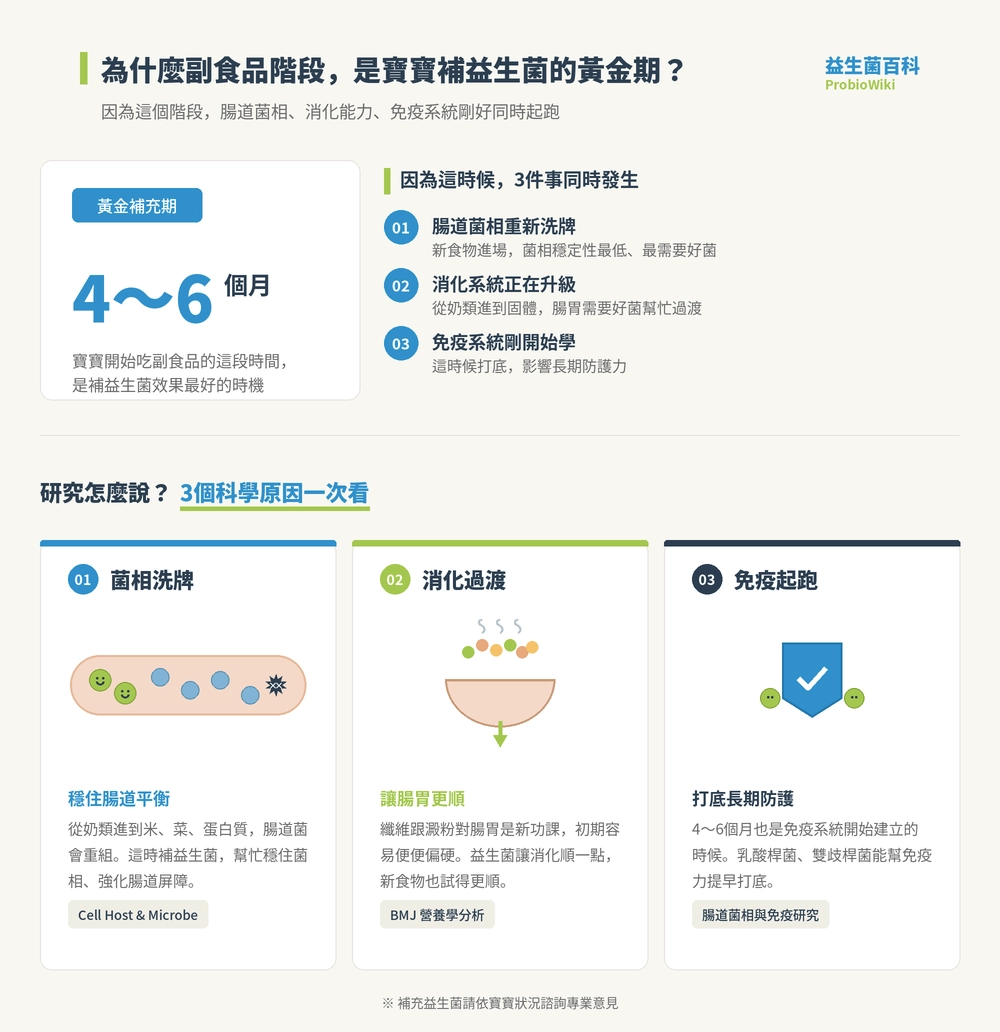副食品階段,是寶寶吃益生菌的黃金關鍵期