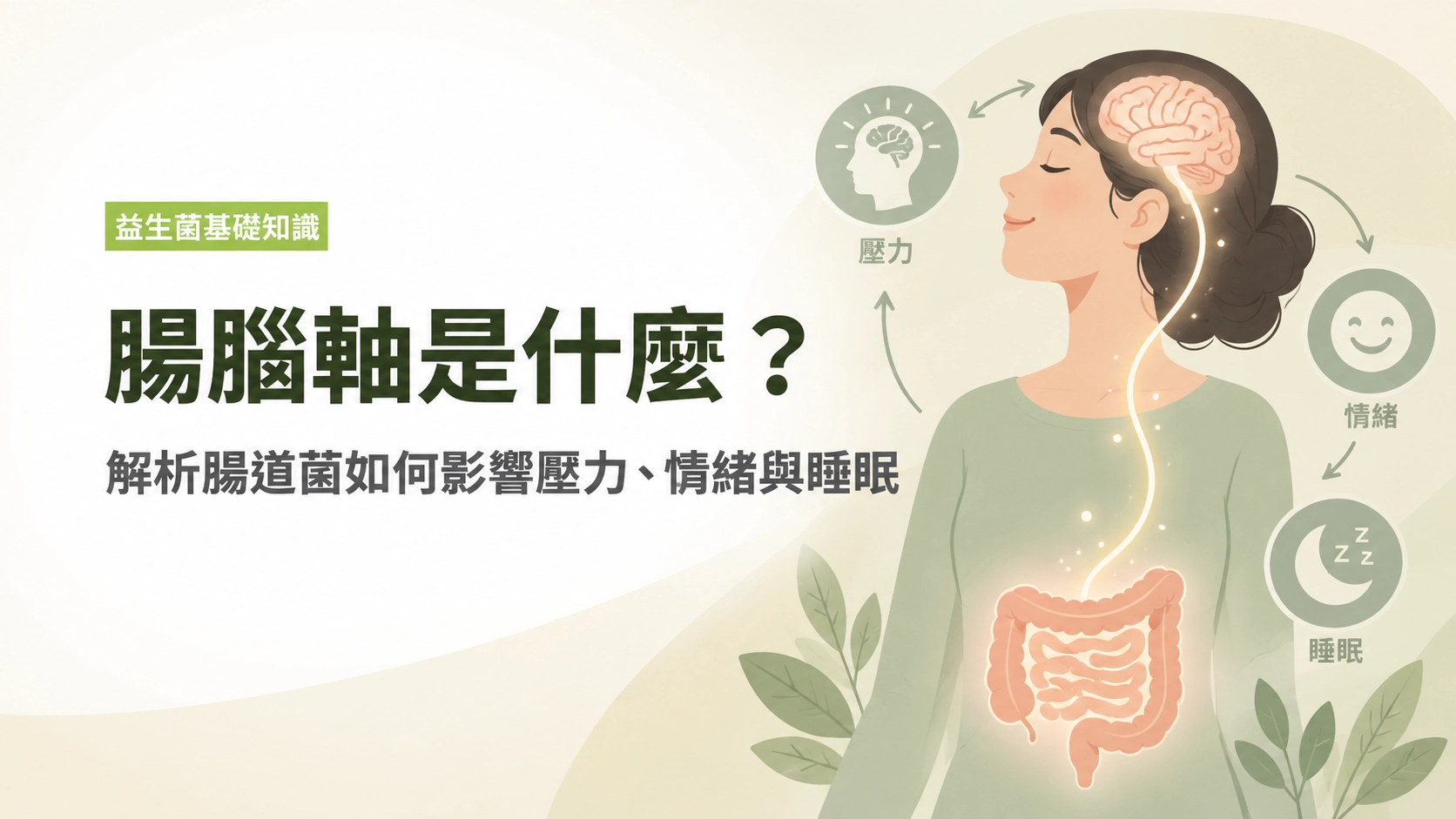腸腦軸：壓力情緒與睡眠解析